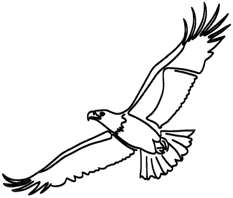 Adler